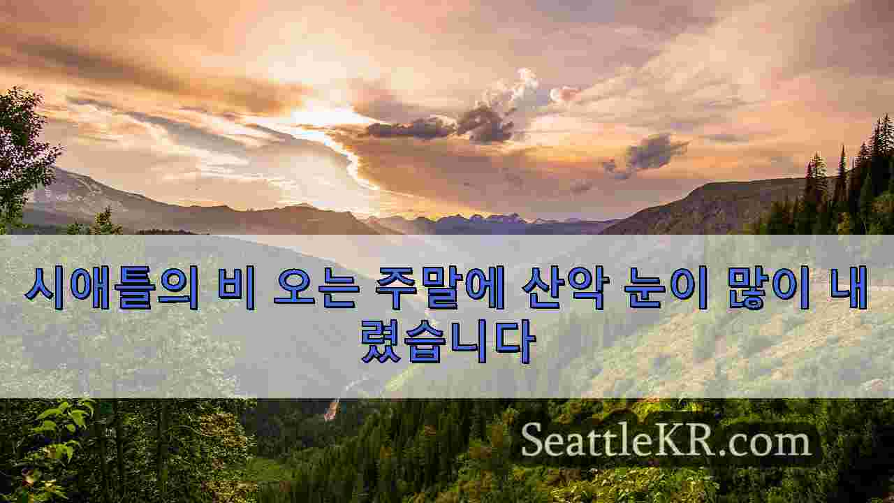 시애틀 뉴스 SeattleKR