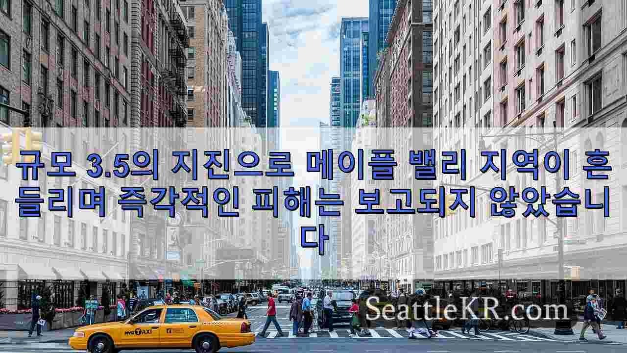 시애틀 뉴스 SeattleKR