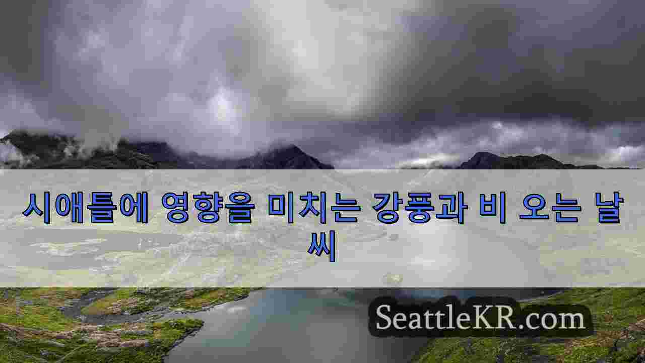 시애틀 뉴스 SeattleKR