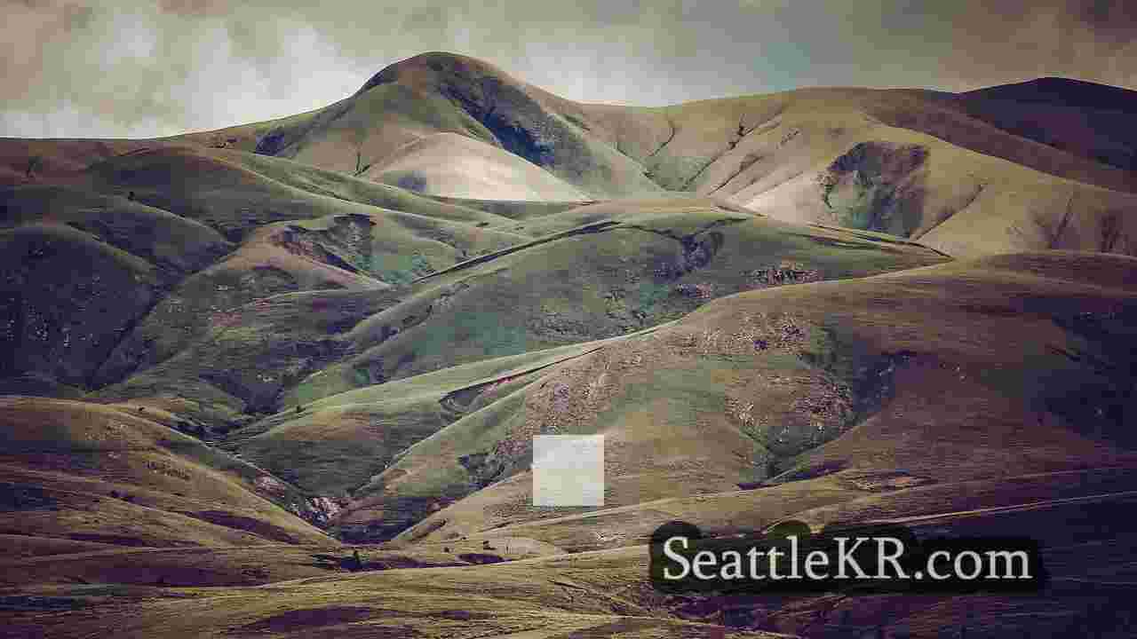 시애틀 뉴스 SeattleKR