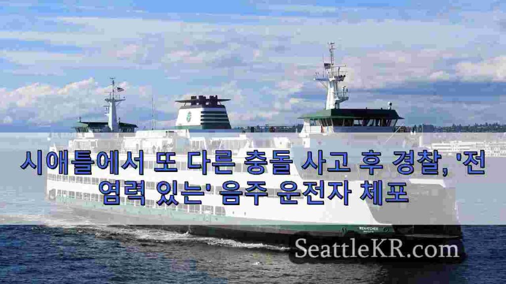 시애틀에서 또 다른 충돌 사고 후 경찰, '전염력 있는' 음주 운전자