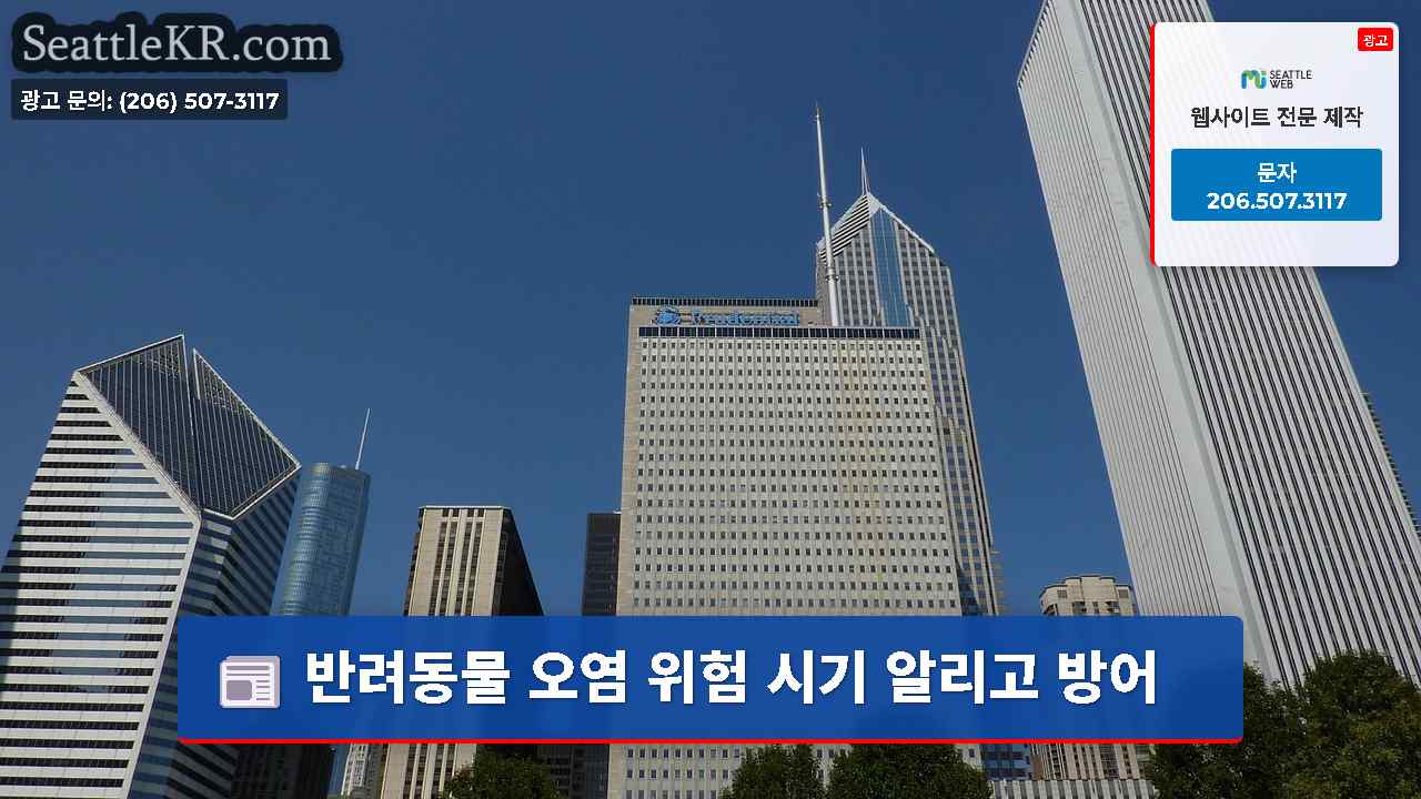 시애틀 뉴스 SeattleKR