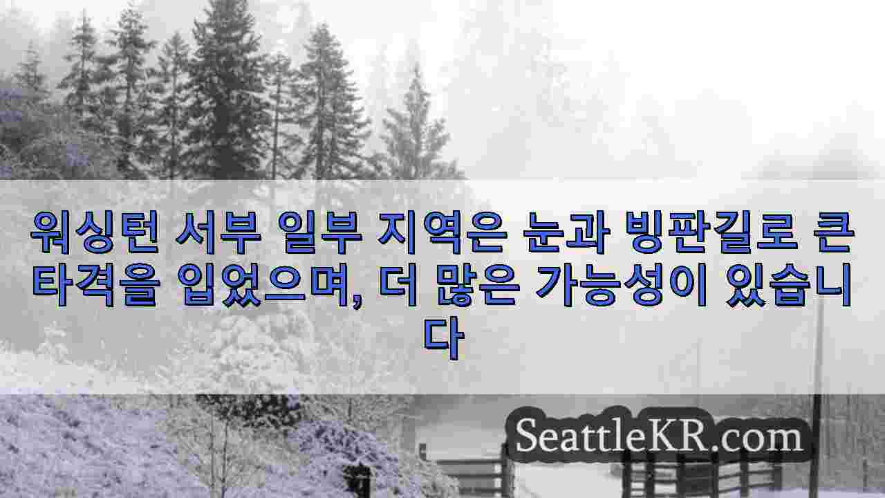 시애틀 뉴스 SeattleKR