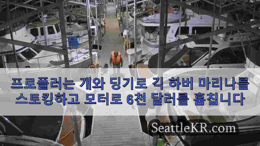 프로플러는 개와 딩기로 긱 하버 마리나를 스토킹하고 모터로 6천 달러를