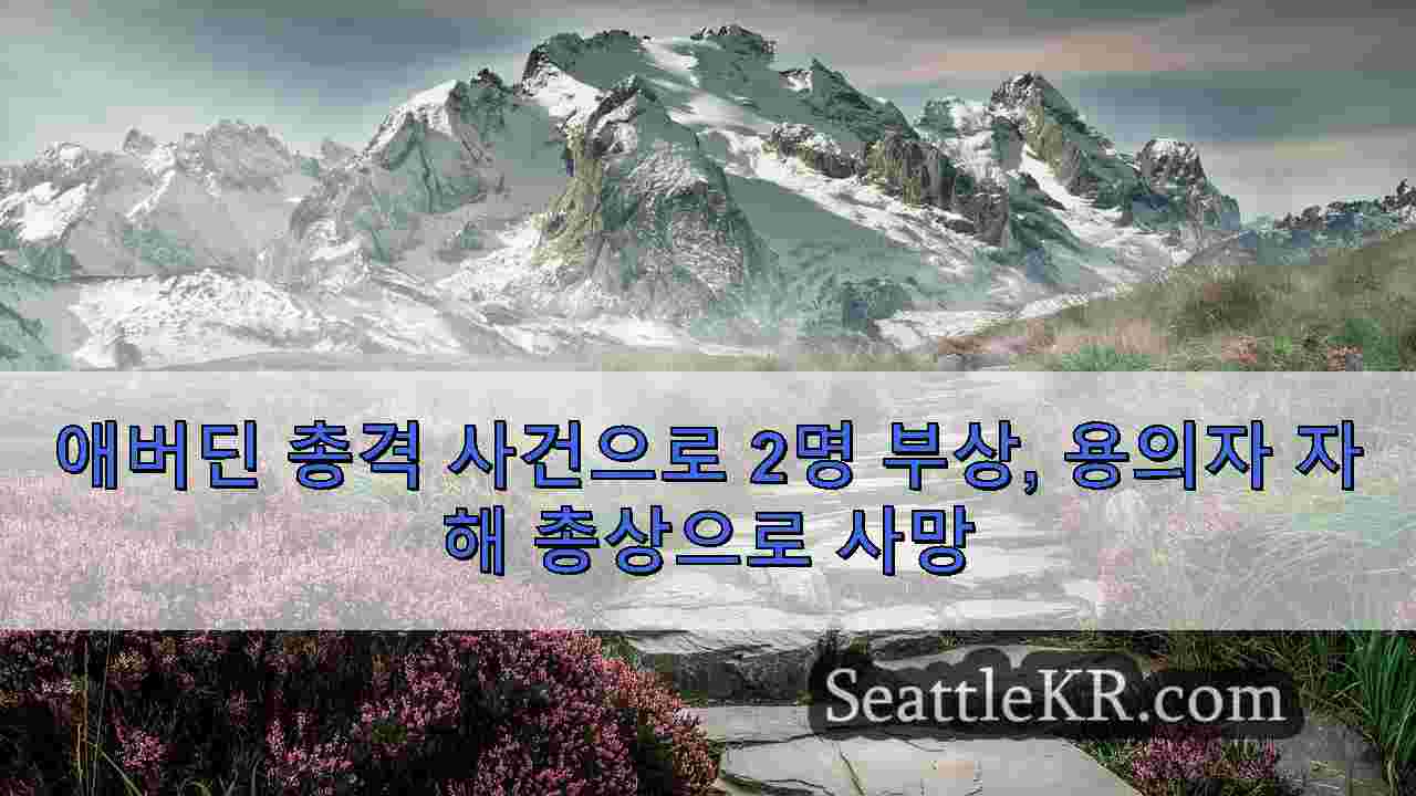 시애틀 뉴스 SeattleKR