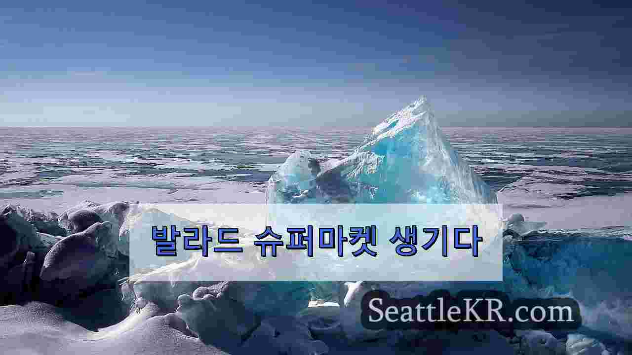 시애틀 뉴스 SeattleKR
