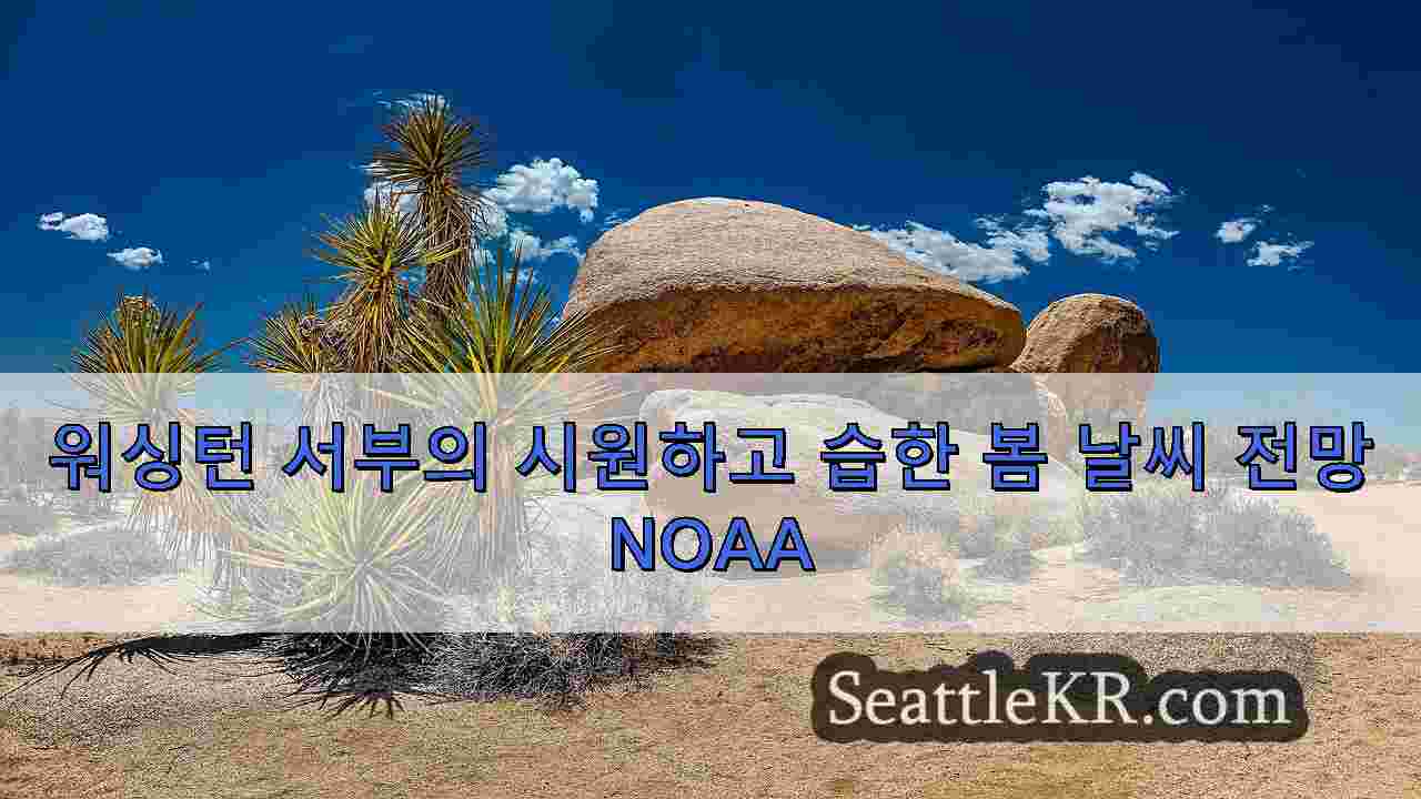 시애틀 뉴스 SeattleKR