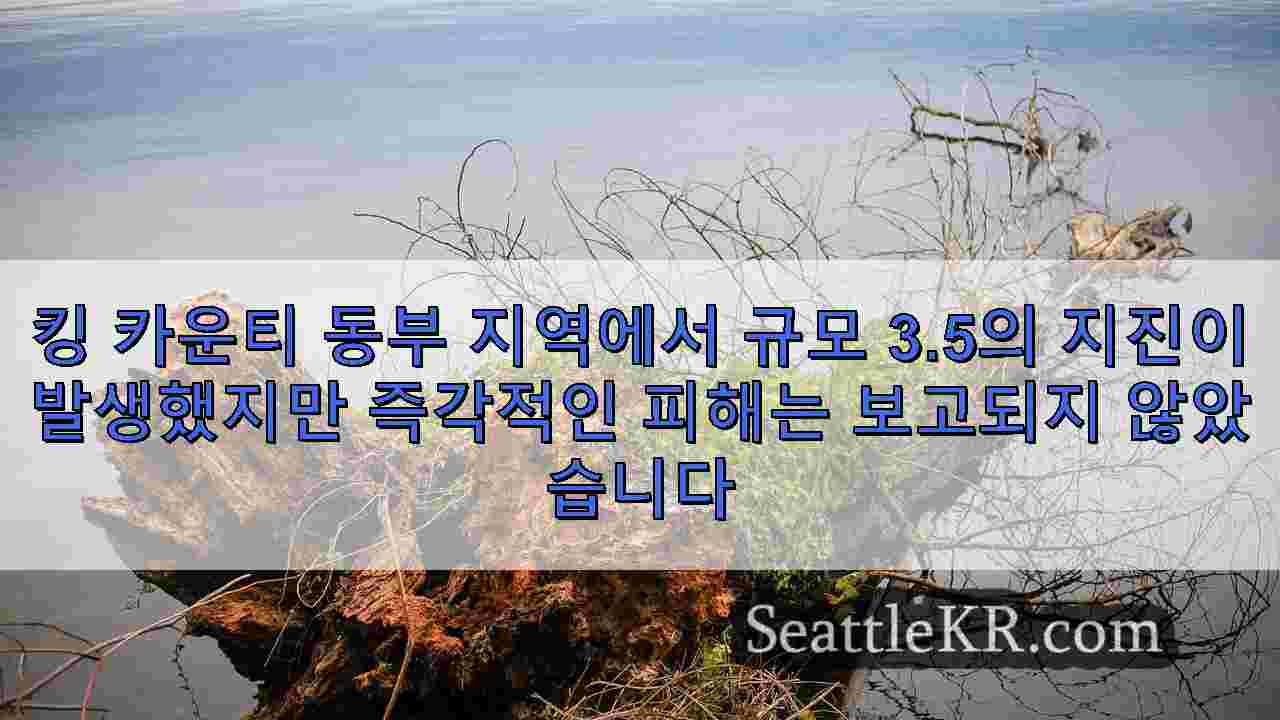 시애틀 뉴스 SeattleKR