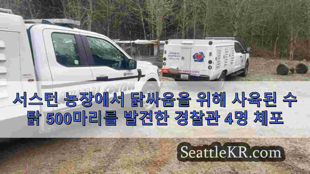 시애틀 뉴스 SeattleKR