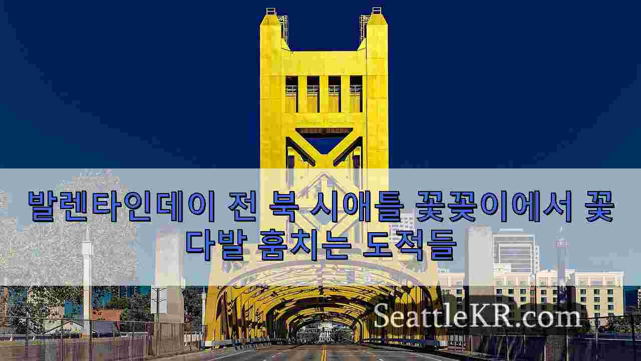 시애틀 뉴스 SeattleKR