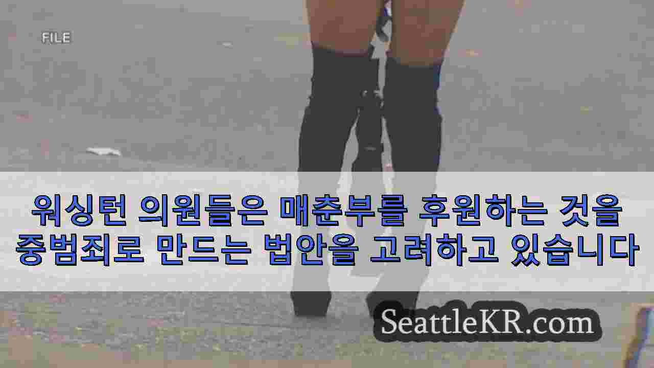 시애틀 뉴스 SeattleKR