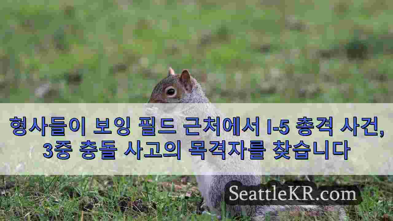 시애틀 뉴스 SeattleKR