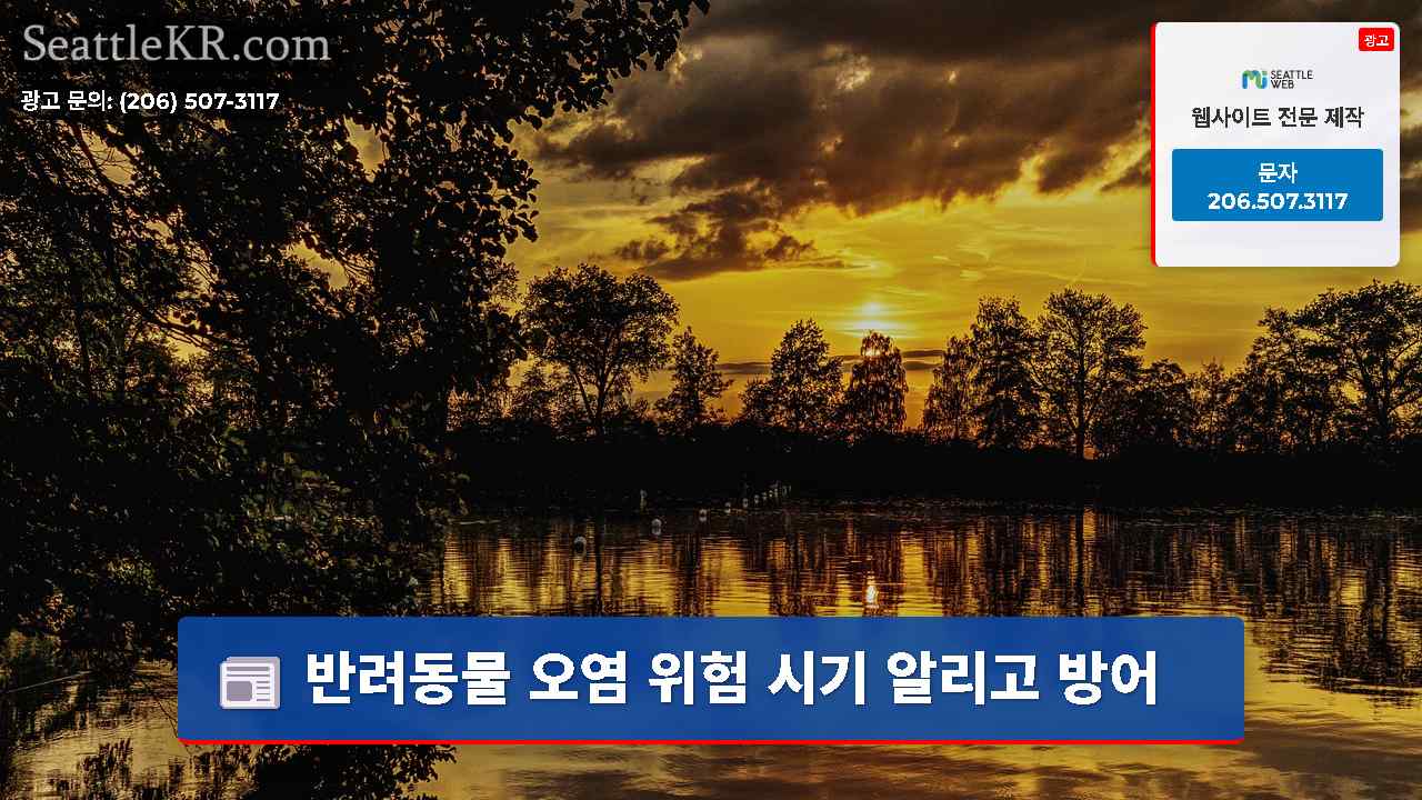 시애틀 뉴스 SeattleKR