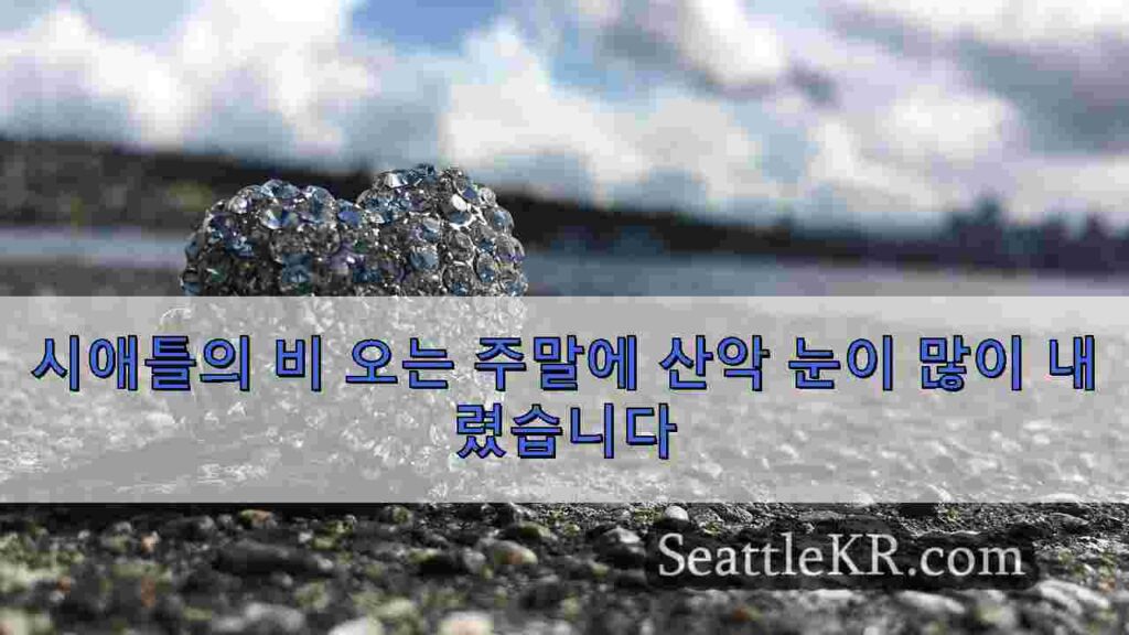 시애틀의 비 오는 주말에 산악 눈이 많이 내렸습니다