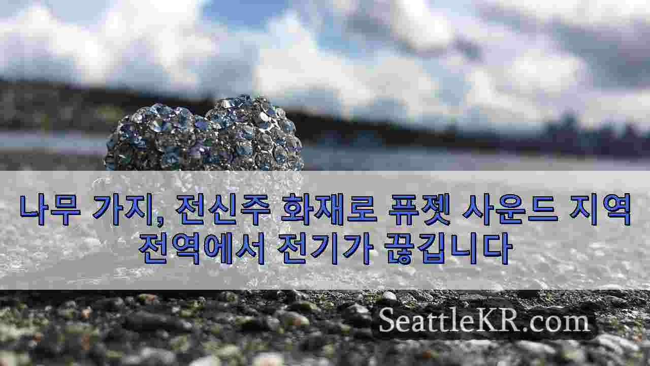 시애틀 뉴스 SeattleKR