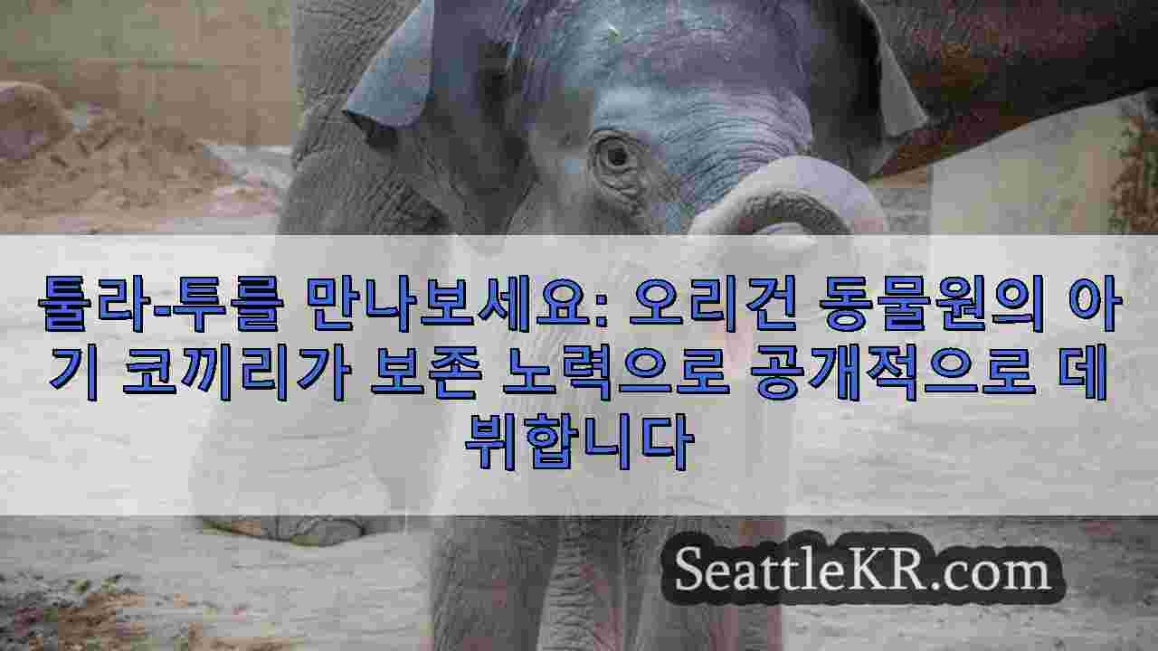 툴라-투를 만나보세요 오리건 동물원의 아기 코끼리가 보존 노력으로 공개적으로 데뷔합니다