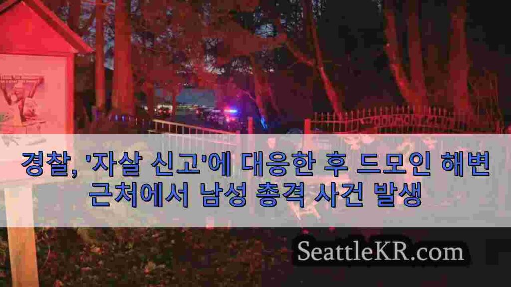 경찰, '자살 신고'에 대응한 후 드모인 해변 근처에서 남성 총격 사건
