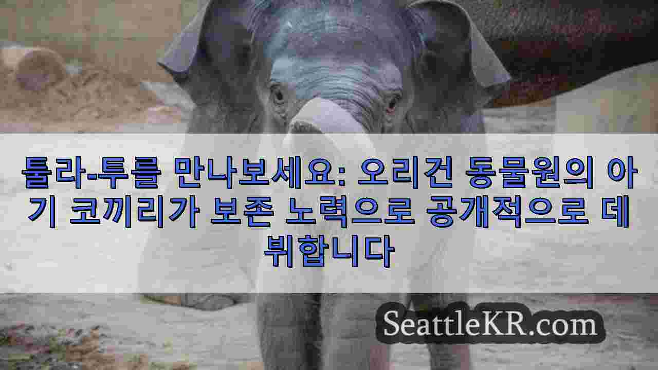 시애틀 뉴스 SeattleKR