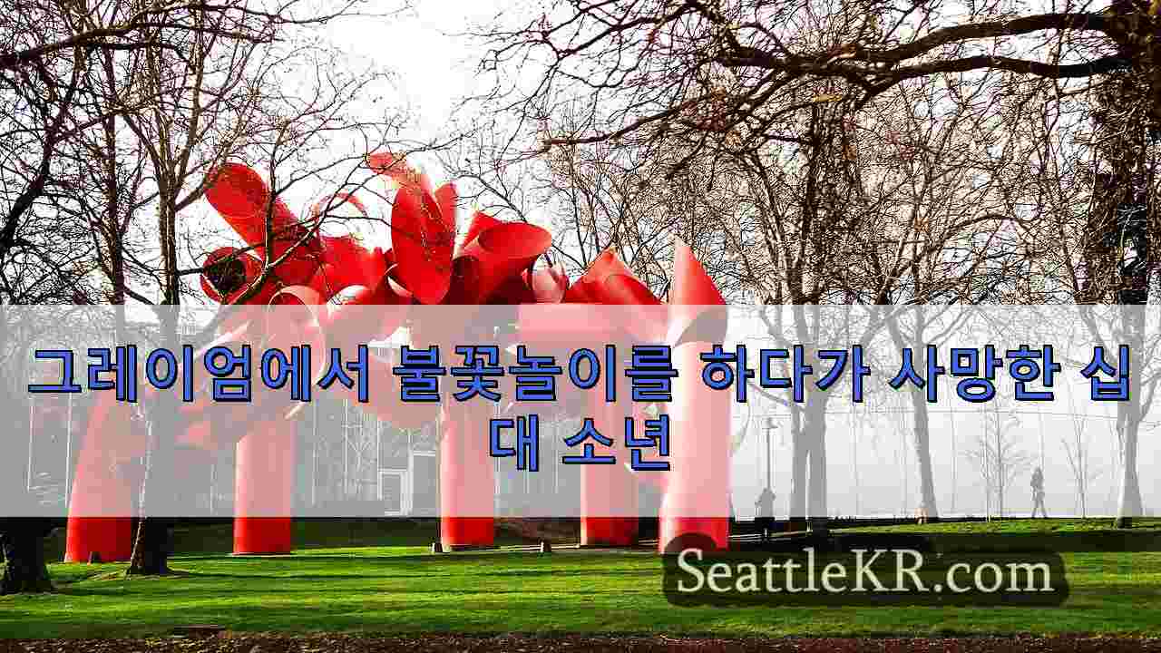 시애틀 뉴스 SeattleKR