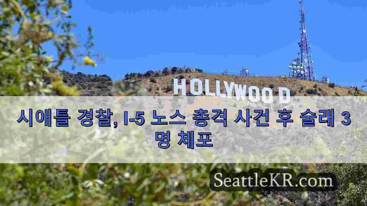 시애틀 뉴스 SeattleKR
