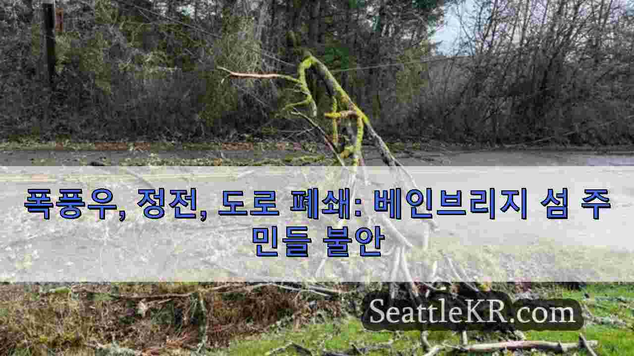 시애틀 뉴스 SeattleKR