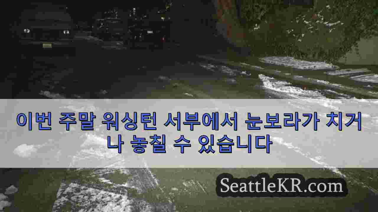 시애틀 뉴스 SeattleKR