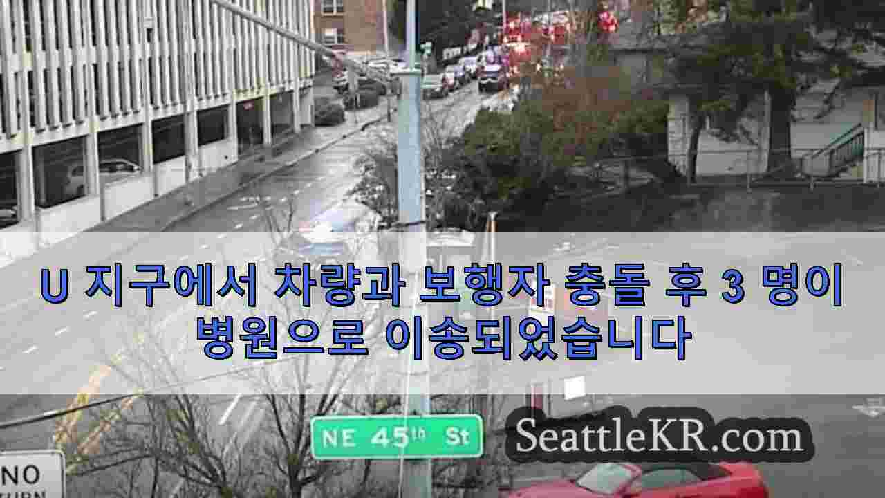 시애틀 뉴스 SeattleKR