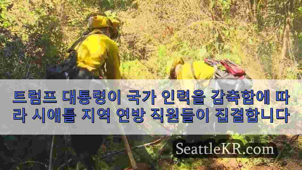 시애틀 뉴스 SeattleKR