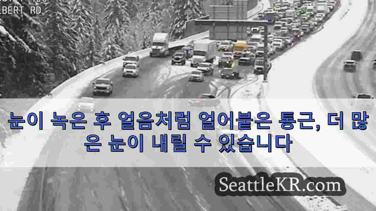 시애틀 뉴스 SeattleKR