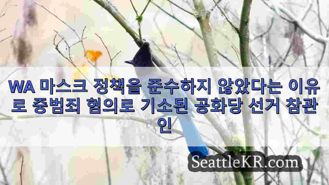 시애틀 뉴스 SeattleKR