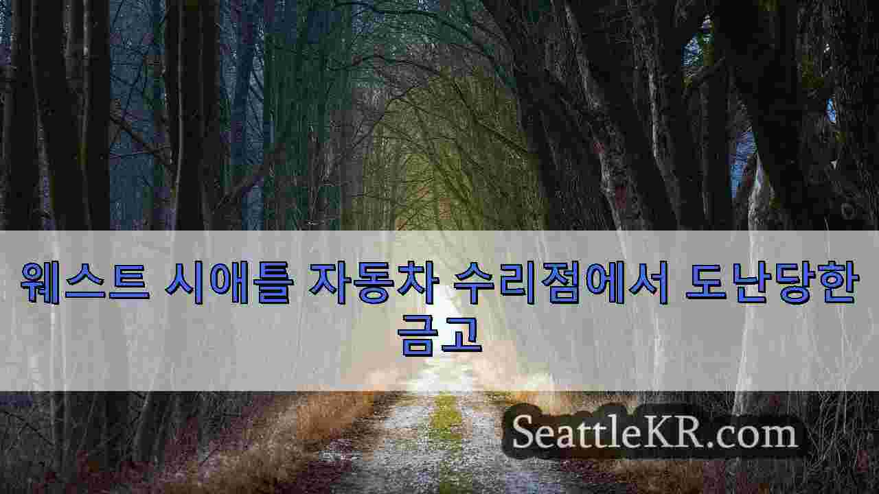 시애틀 뉴스 SeattleKR