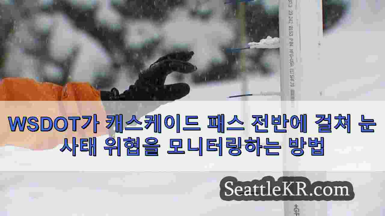 시애틀 뉴스 SeattleKR