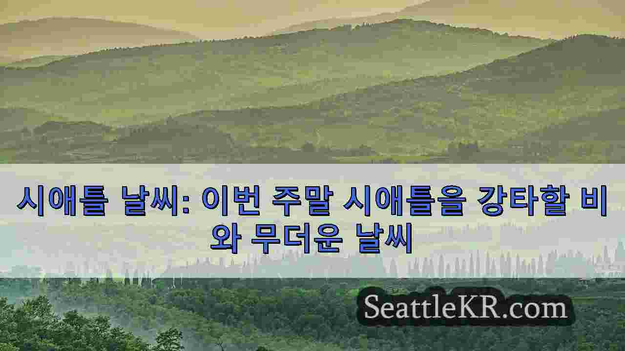 시애틀 뉴스 SeattleKR