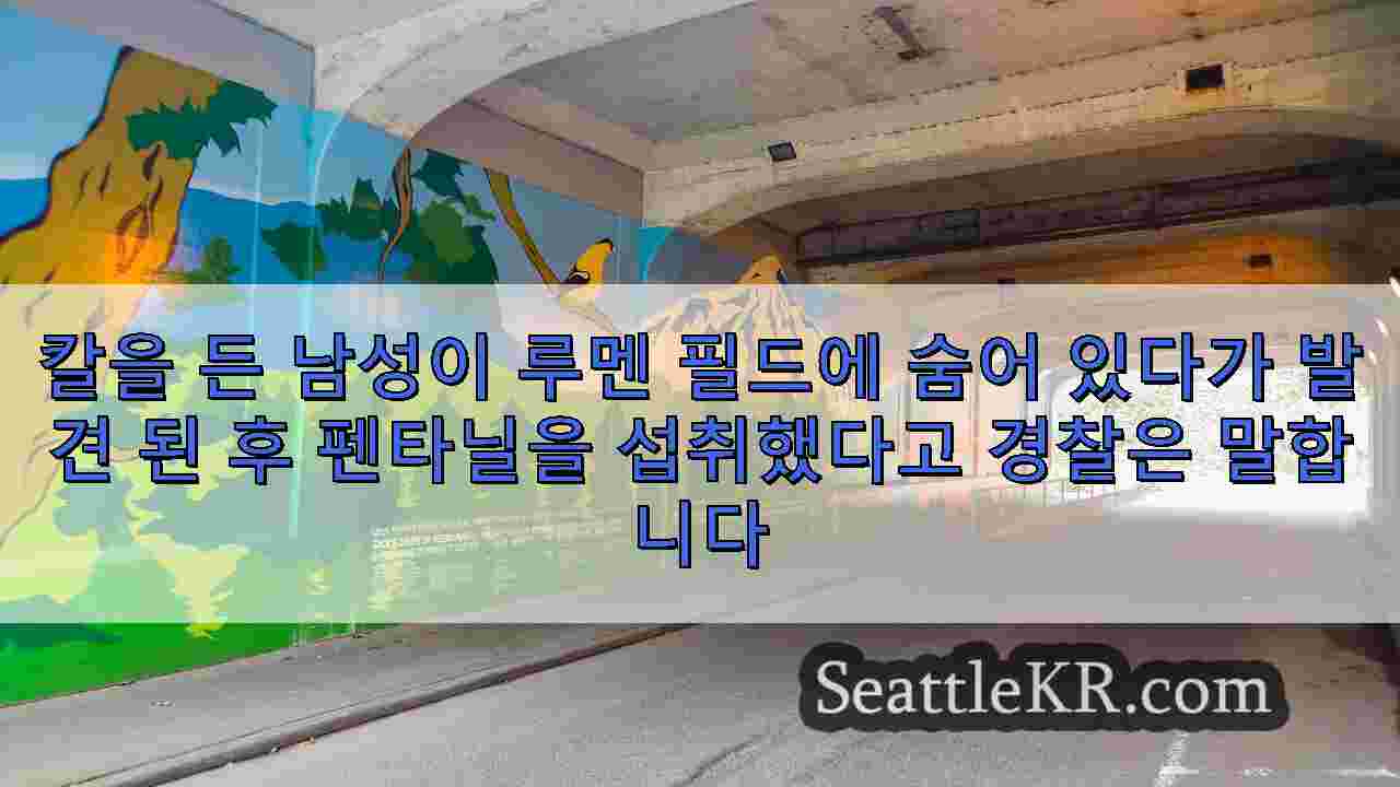 시애틀 뉴스 SeattleKR