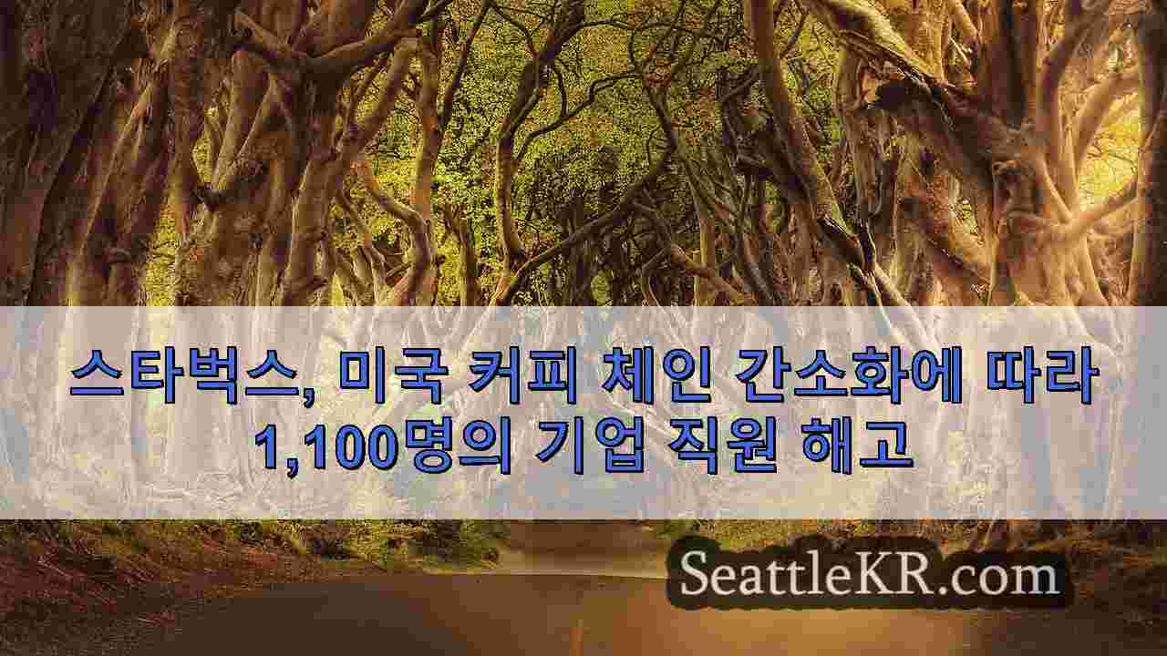 시애틀 뉴스 SeattleKR