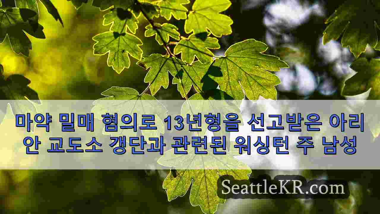 시애틀 뉴스 SeattleKR