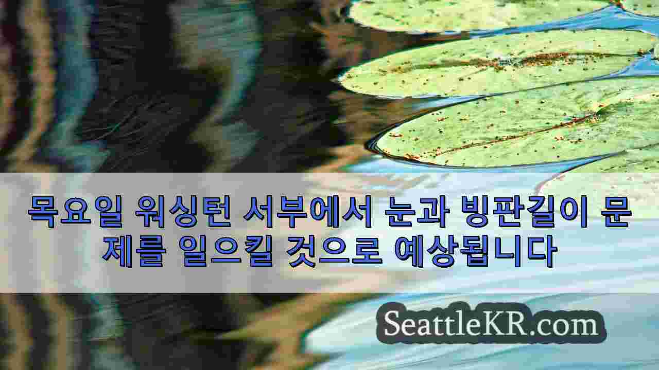 시애틀 뉴스 SeattleKR