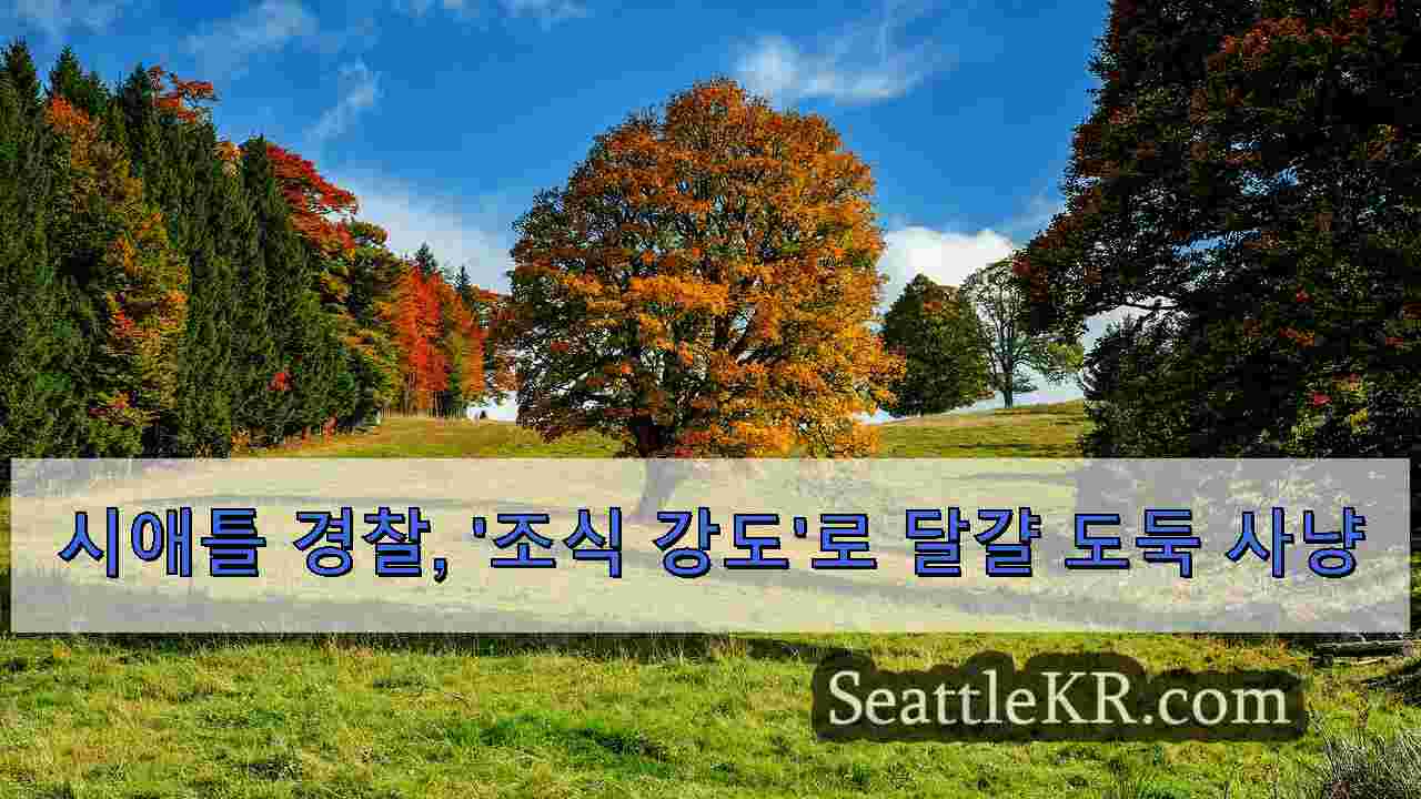 시애틀 뉴스 SeattleKR
