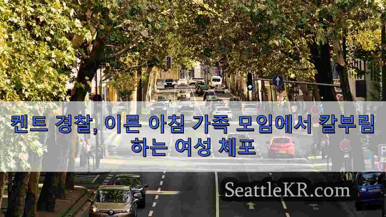 시애틀 뉴스 SeattleKR