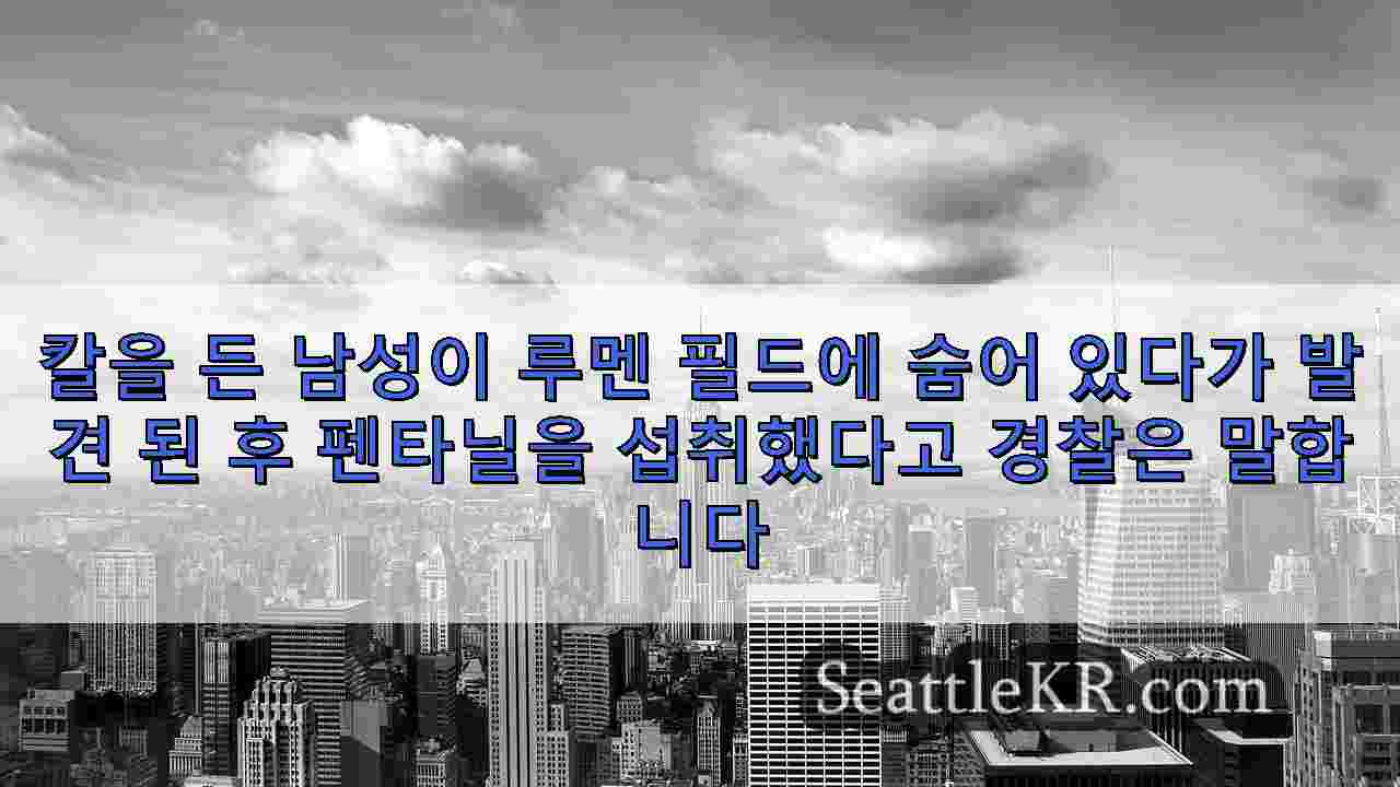 시애틀 뉴스 SeattleKR