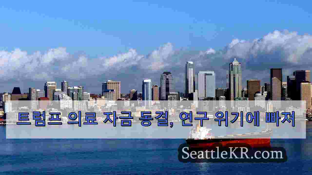 시애틀 뉴스 SeattleKR