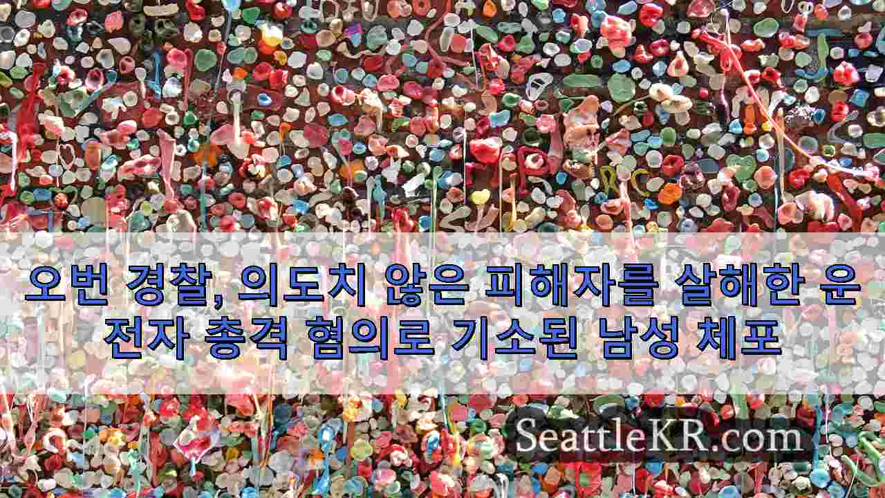 시애틀 뉴스 SeattleKR