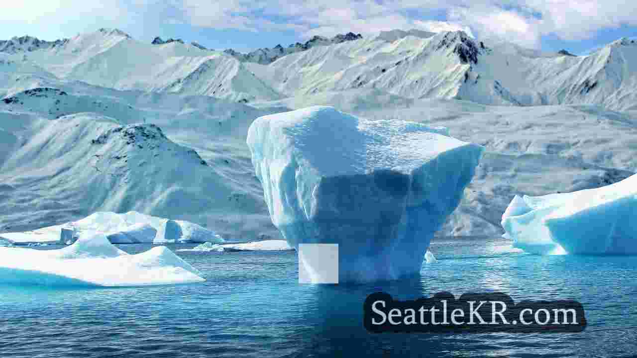 시애틀 뉴스 SeattleKR