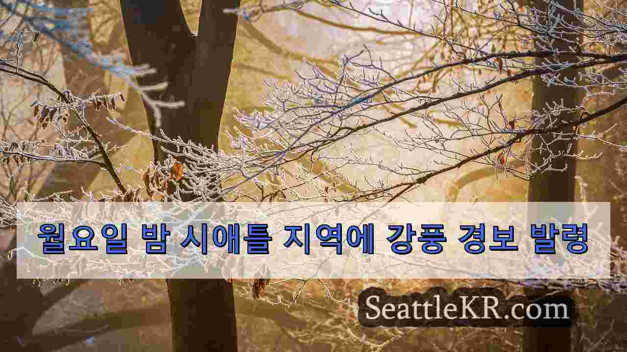 시애틀 뉴스 SeattleKR