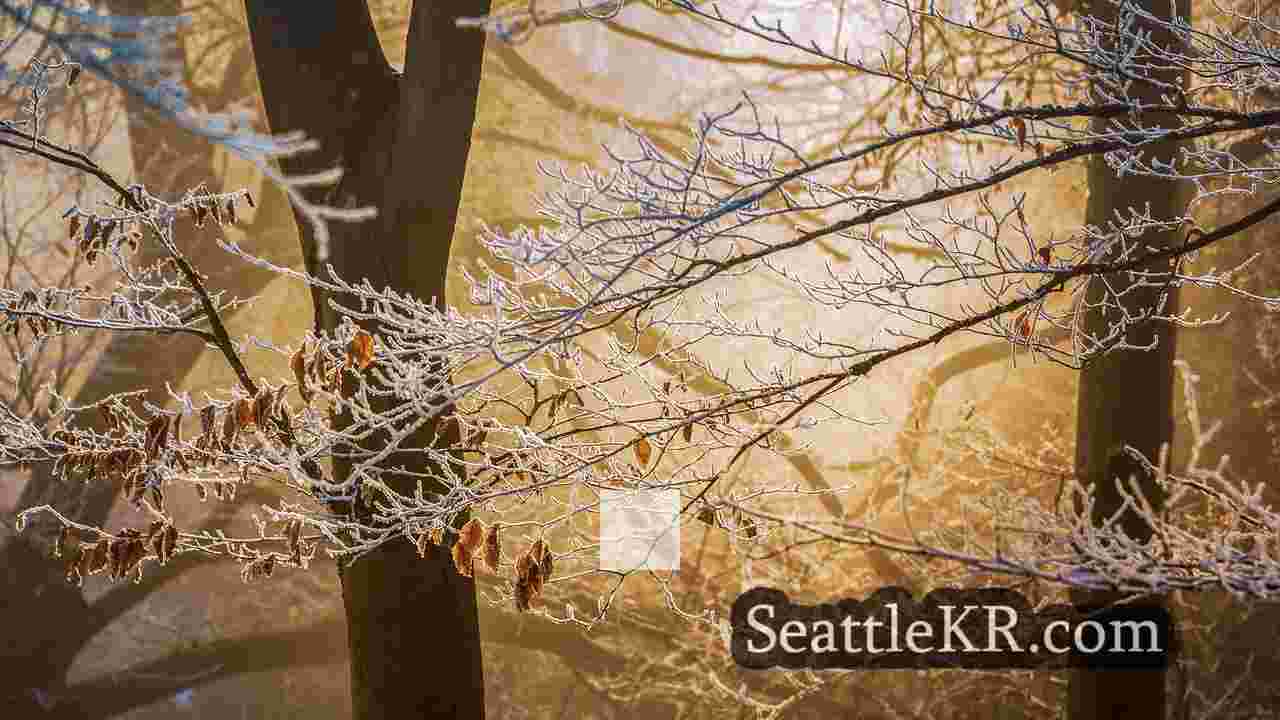 시애틀 뉴스 SeattleKR
