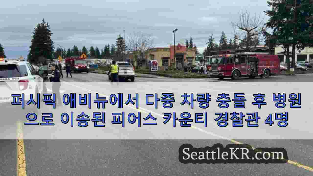 시애틀 뉴스 SeattleKR