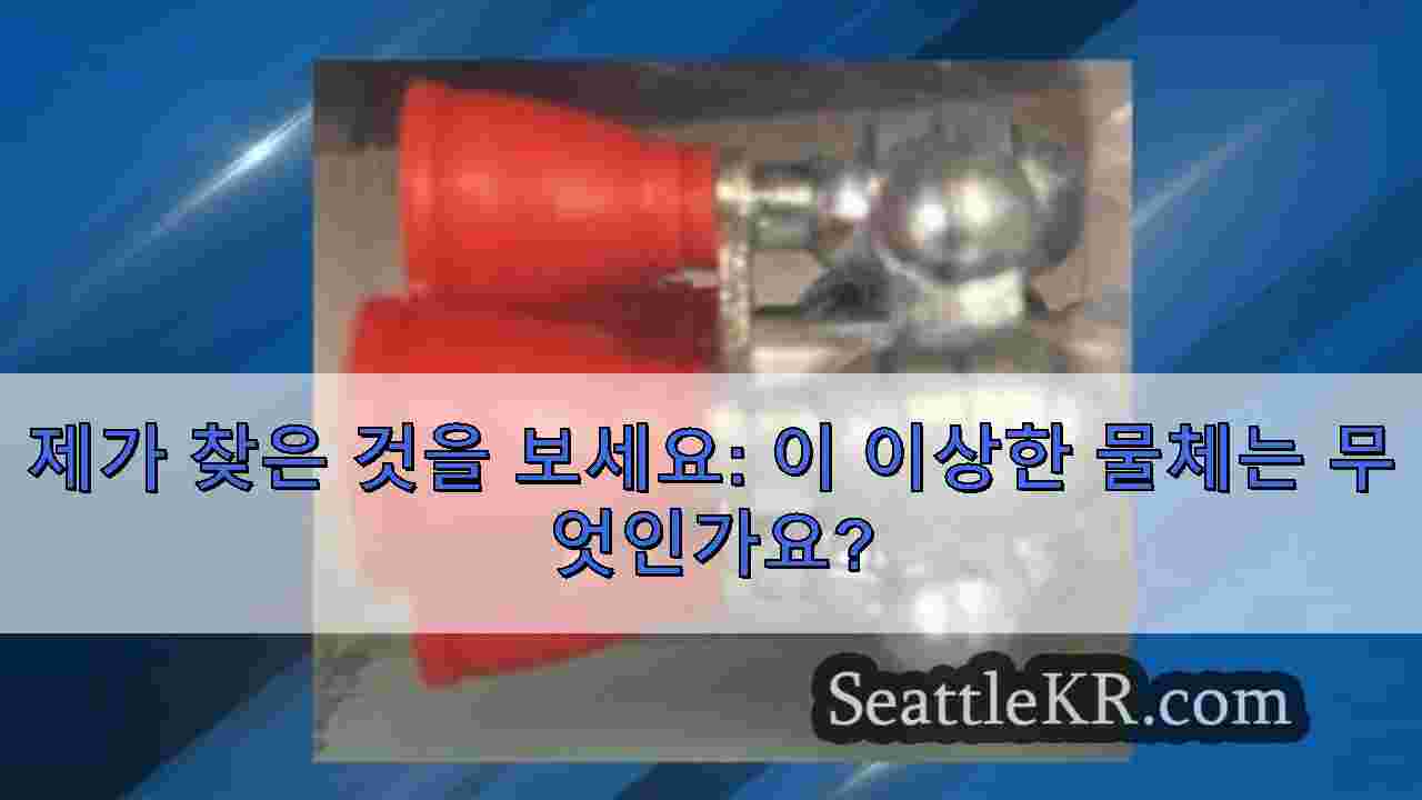 시애틀 뉴스 SeattleKR