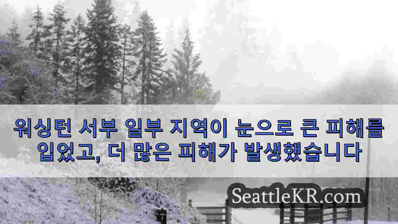 시애틀 뉴스 SeattleKR