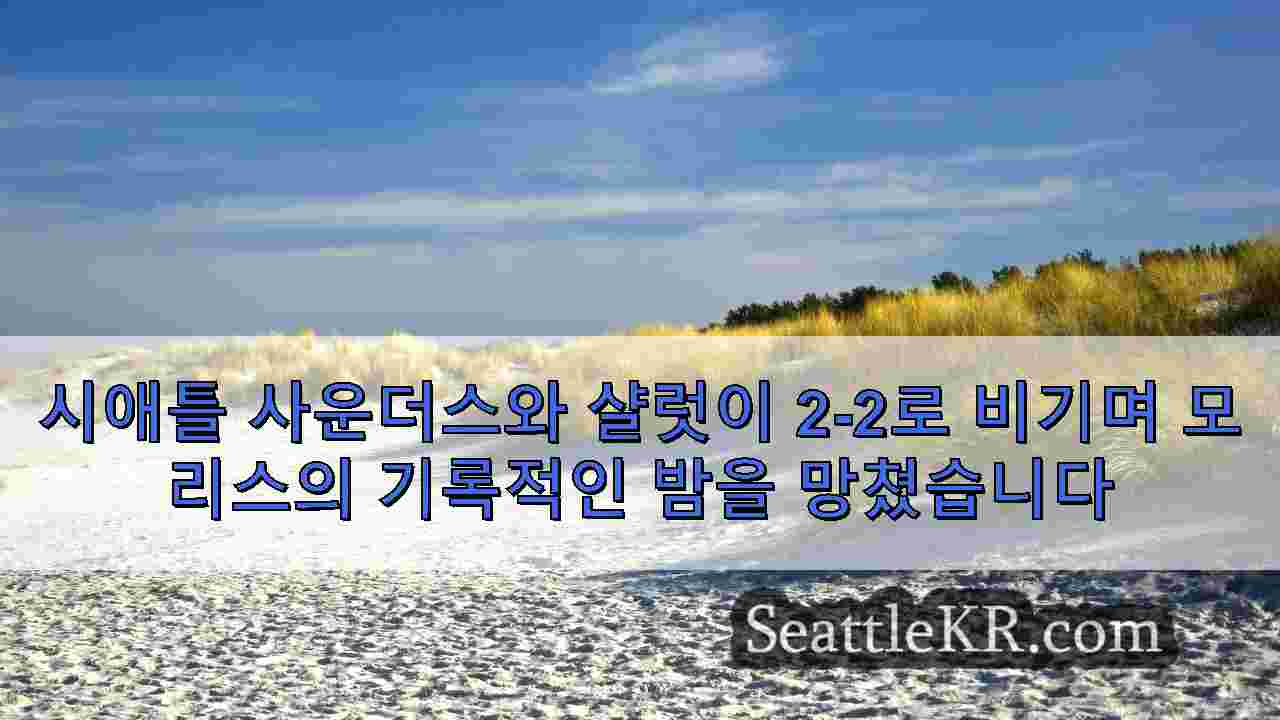 시애틀 뉴스 SeattleKR