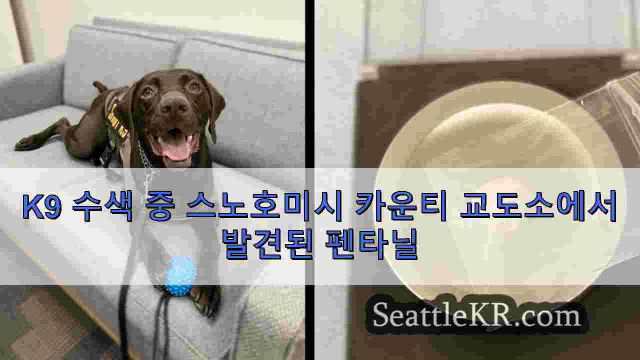 K9 수색 중 스노호미시 카운티 교도소에서 발견된 펜타닐